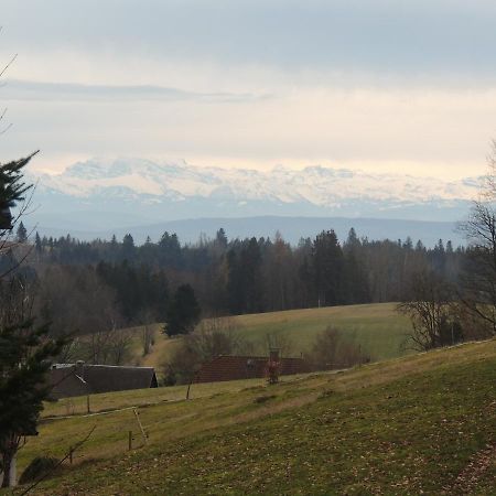 Appartamento Haus Ingeborg Dachsberg im Schwarzwald Esterno foto