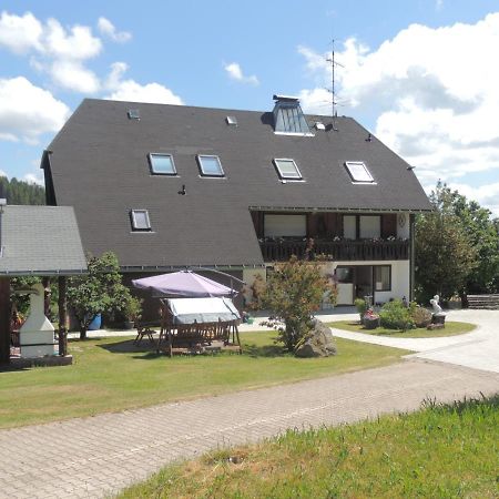 Appartamento Haus Ingeborg Dachsberg im Schwarzwald Esterno foto