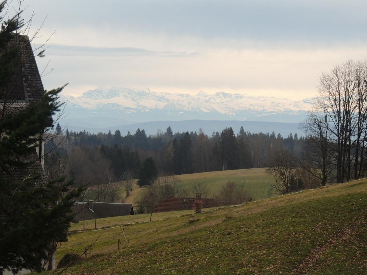 Appartamento Haus Ingeborg Dachsberg im Schwarzwald Esterno foto