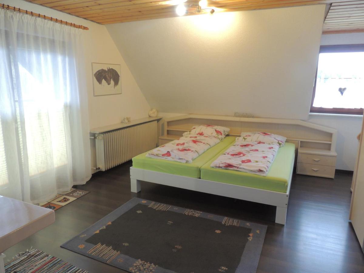Appartamento Haus Ingeborg Dachsberg im Schwarzwald Esterno foto