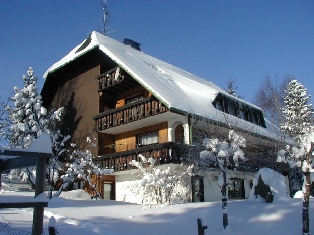 Appartamento Haus Ingeborg Dachsberg im Schwarzwald Esterno foto