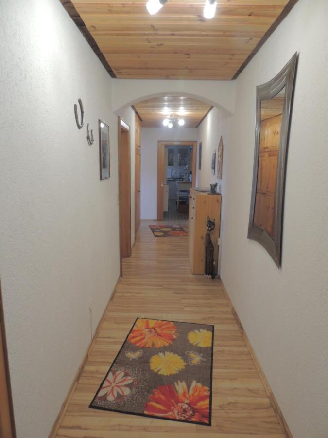 Appartamento Haus Ingeborg Dachsberg im Schwarzwald Esterno foto