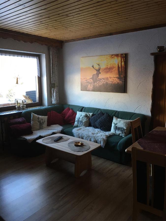 Appartamento Haus Ingeborg Dachsberg im Schwarzwald Esterno foto