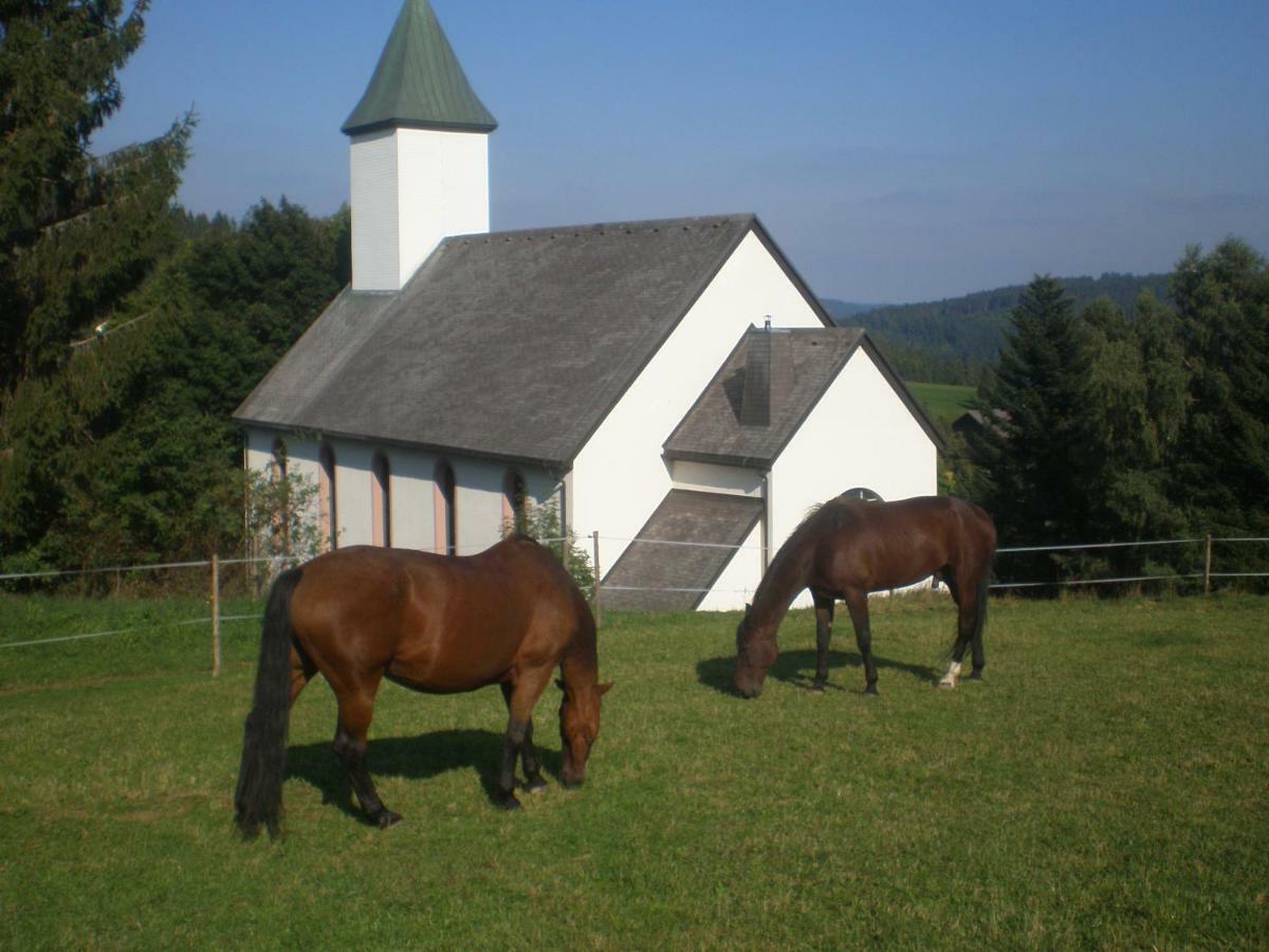 Appartamento Haus Ingeborg Dachsberg im Schwarzwald Esterno foto