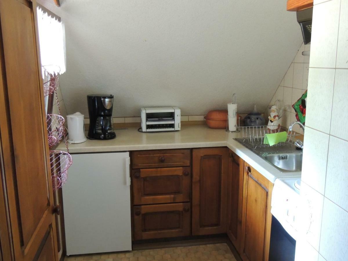 Appartamento Haus Ingeborg Dachsberg im Schwarzwald Esterno foto